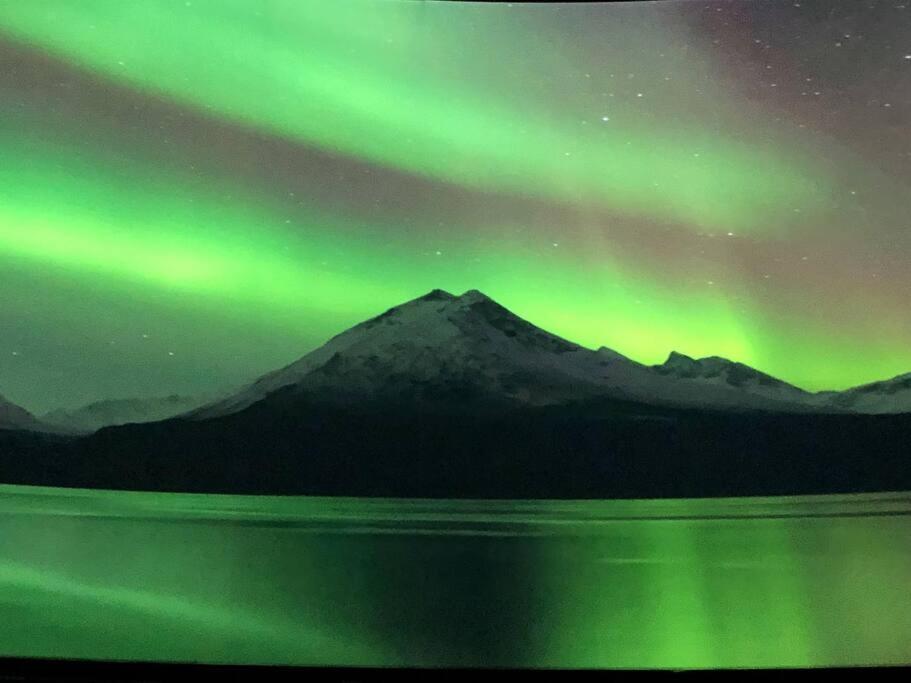 Northern Light Tromsø Eksteriør bilde